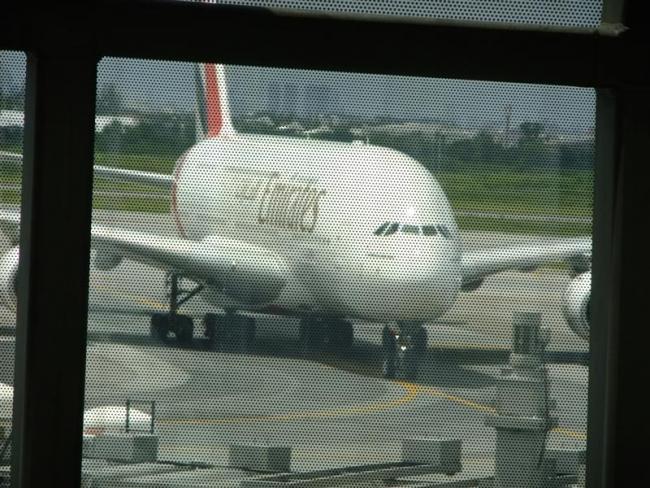 DSCF9185 (Medium).JPG